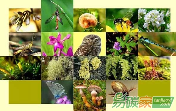 中國生態系統和生物多樣性經濟學(TEEB)行動方案國際研討會
