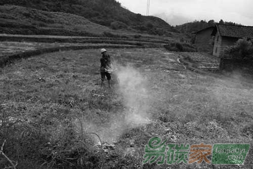 土地修復治理不容忽視