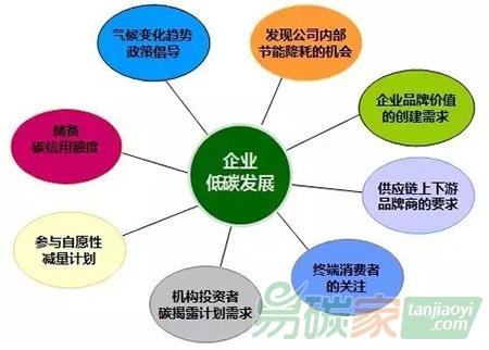 “什么是碳戰(zhàn)略？”