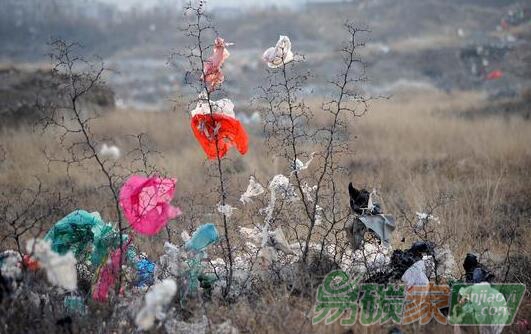 生產紙袋所造成的溫室氣體排放是塑料袋的3.3倍