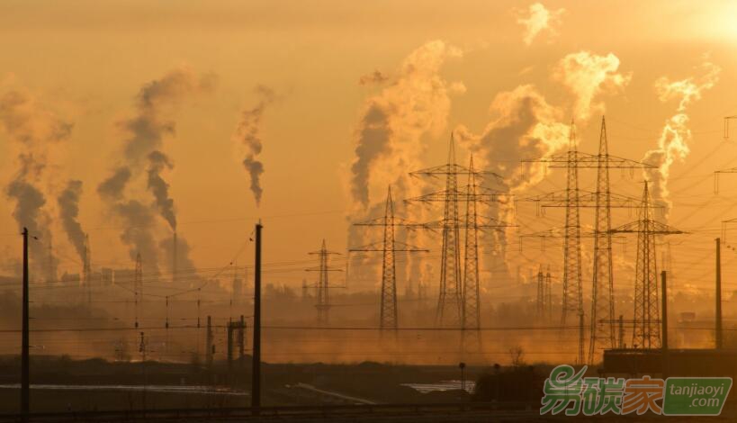 150年后，碳排放將超過5600萬年前“生物大滅絕”？