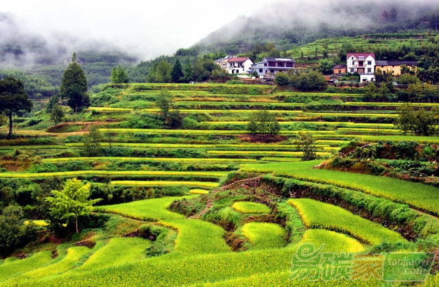 中國(guó)如何引領(lǐng)綠色金融的未來