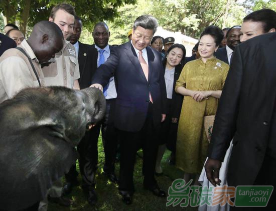 2015年12月2日，國家主席習(xí)近平在津巴布韋考察野生動物救助基地。新華社記者蘭紅光攝